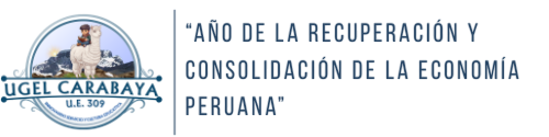 UGEL Carabaya
